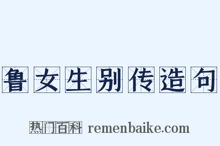 鲁女生别传造句是什么意思的图片